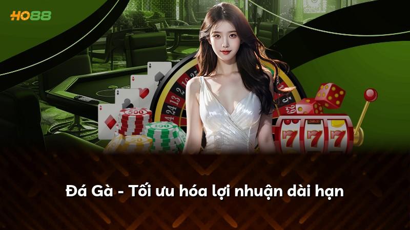 Đá Gà - Tối ưu hóa lợi nhuận dài hạn